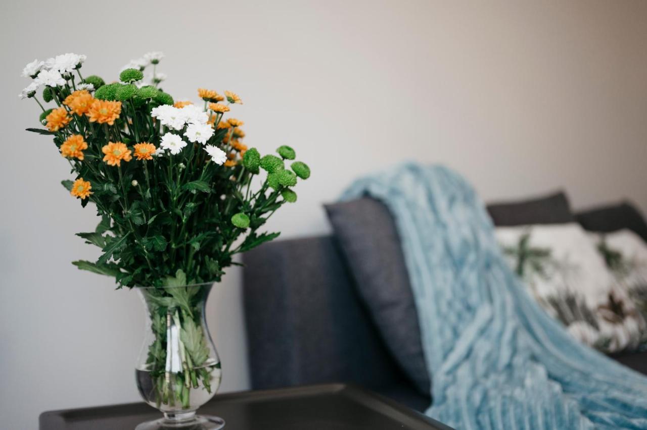 Nocosfera Apartament Serbinow Kaliszki Екстериор снимка